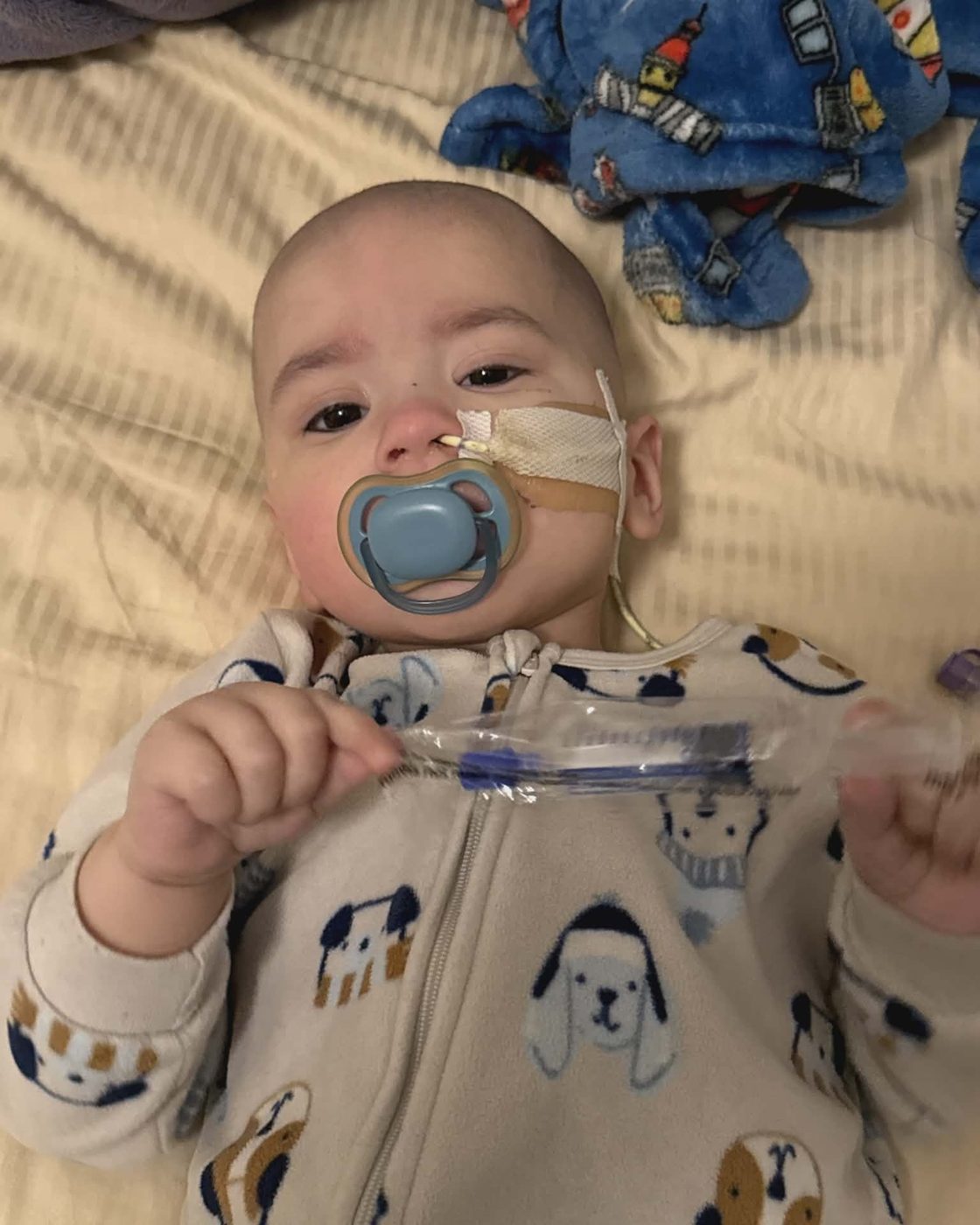 O Castiel em casa, deitado na cama com a chupeta e os brinquedos preferidos